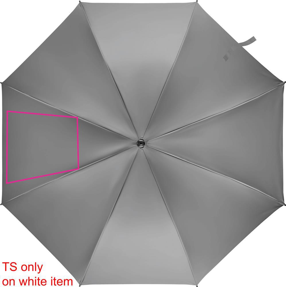 SEGMENT 2
