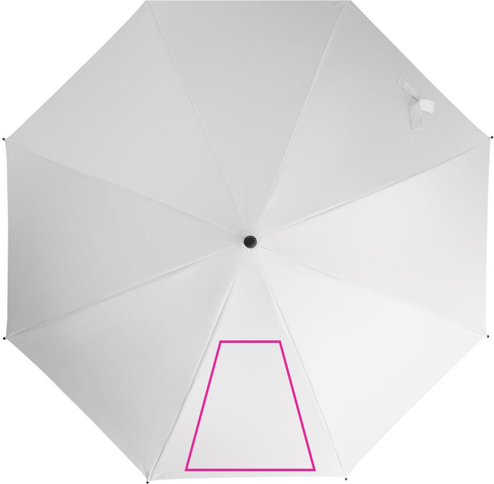 SEGMENT 1