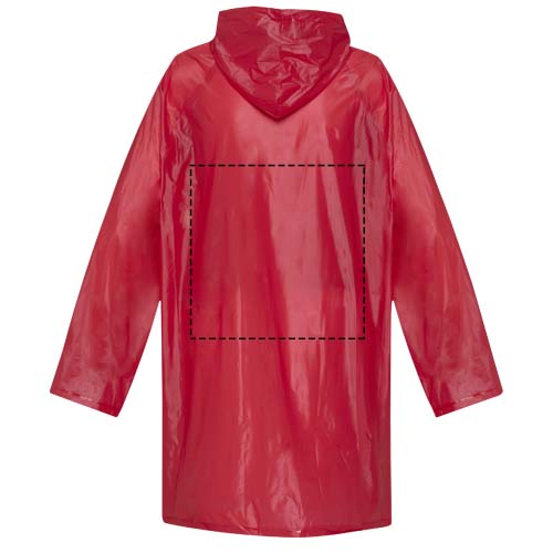 na górze z tyłu (300 x 300)