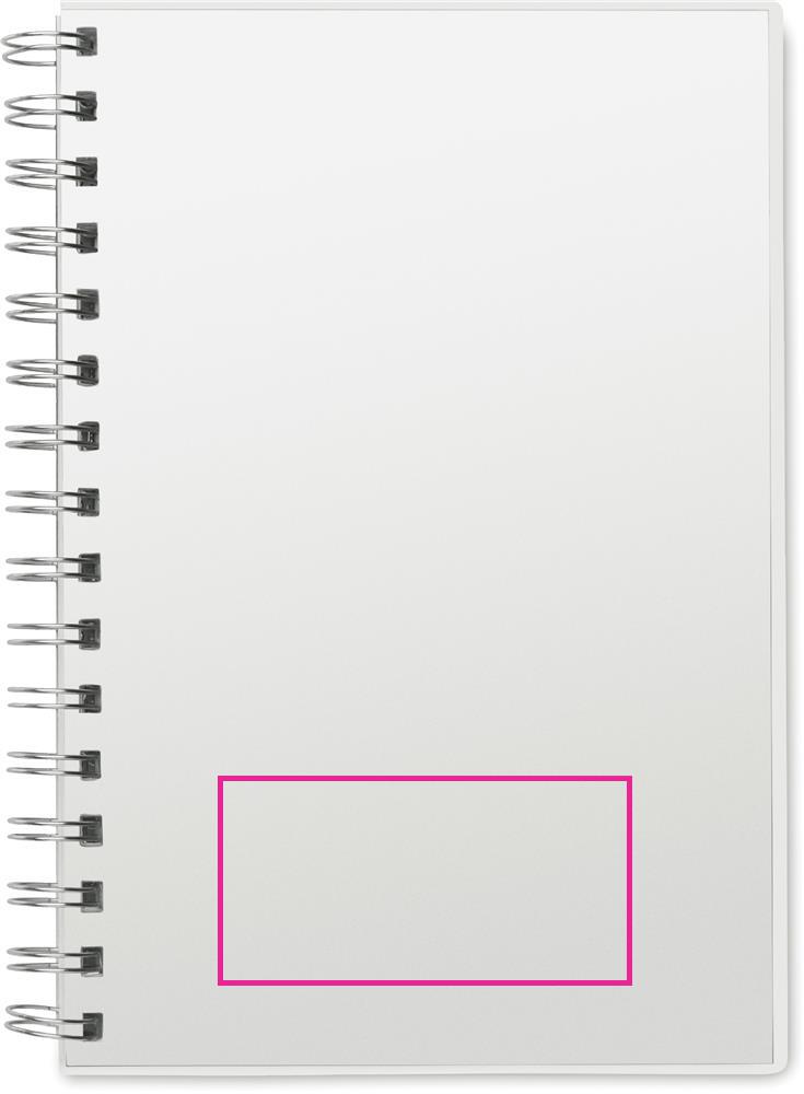TRANSPARENT FRONT P