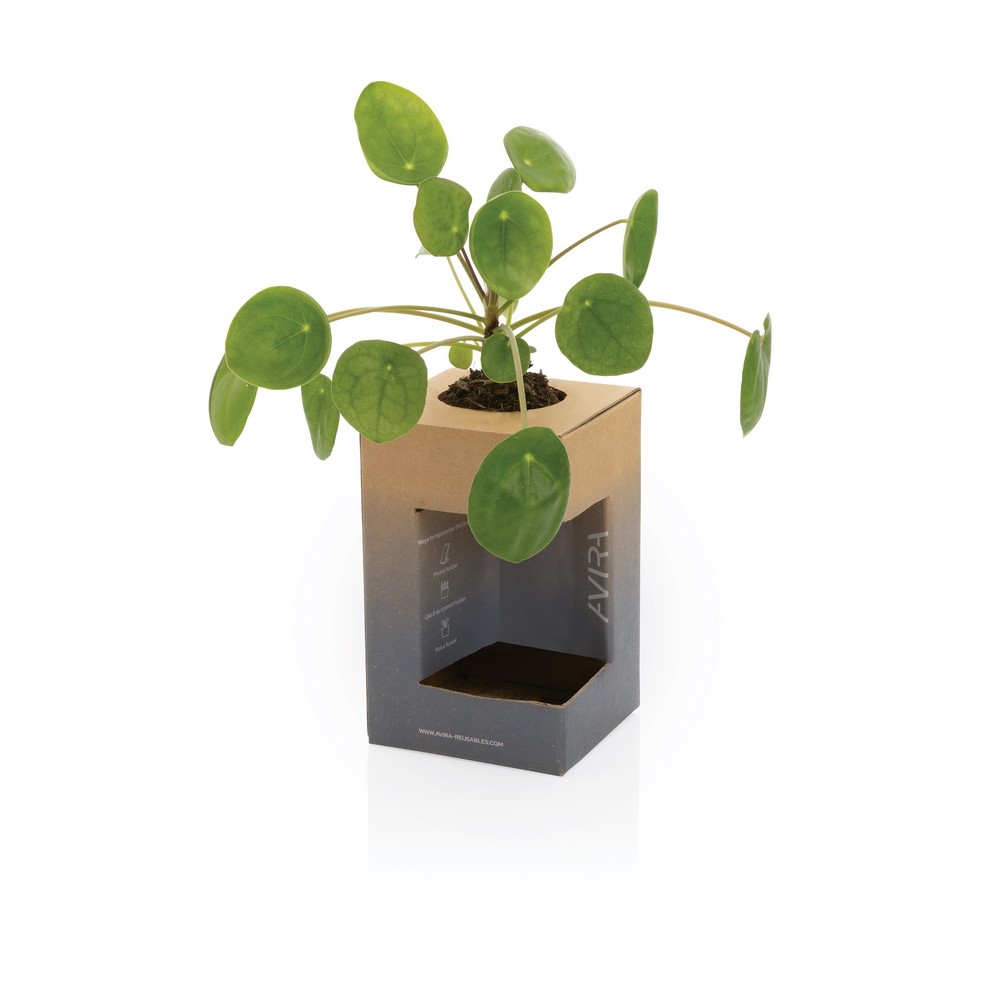 Kubek termiczny 300 ml Avira Alya Srebrny P438.022 (11)