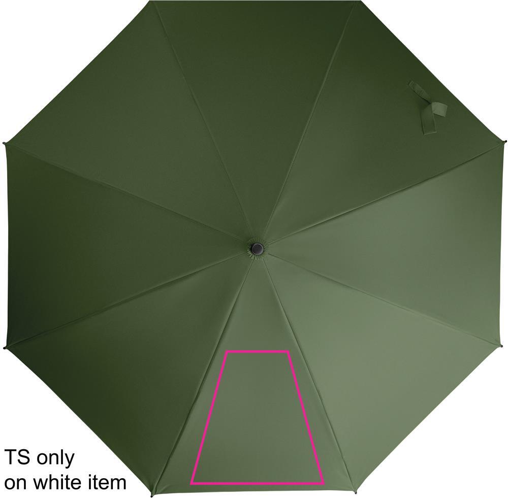 SEGMENT 1