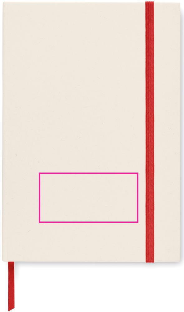 FRONT PAD