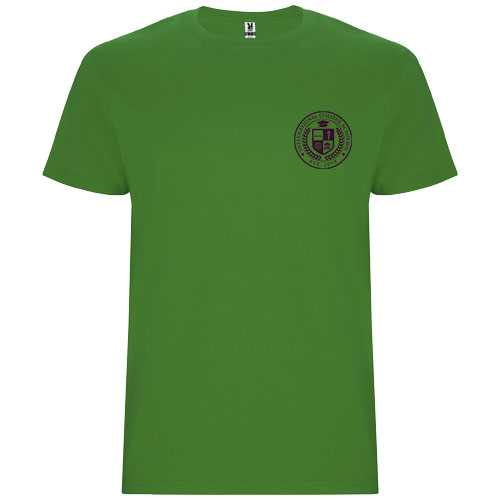 Stafford koszulka męska z krótkim rękawem Grass Green R66815C5 (1)