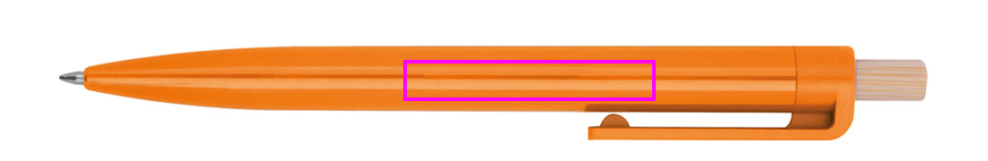 Tył