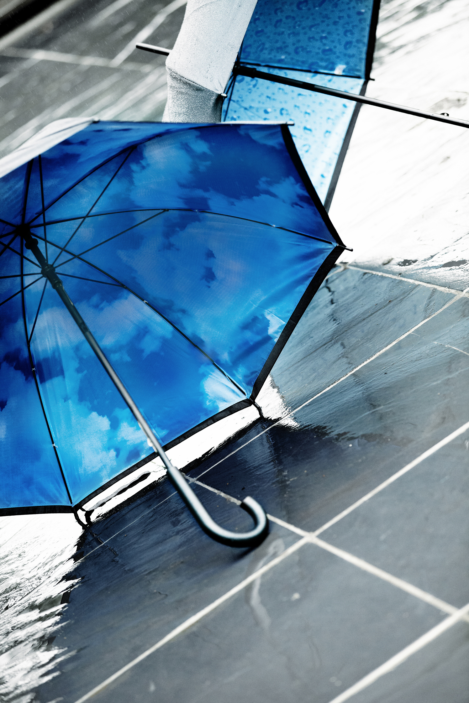 Parasol manualny Granatowy V4184-04 (2)