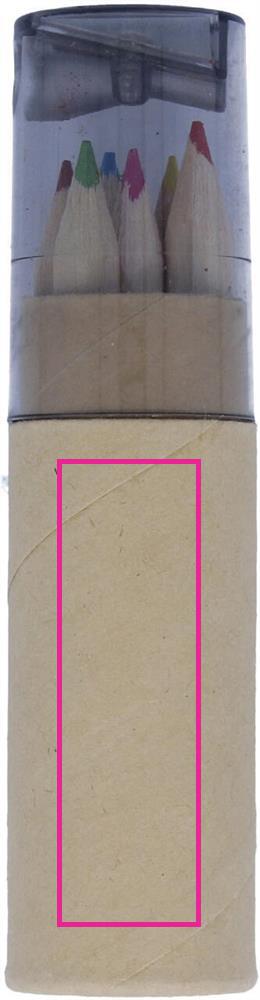 CARTON BACK