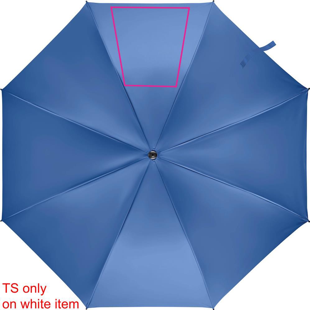 SEGMENT 3
