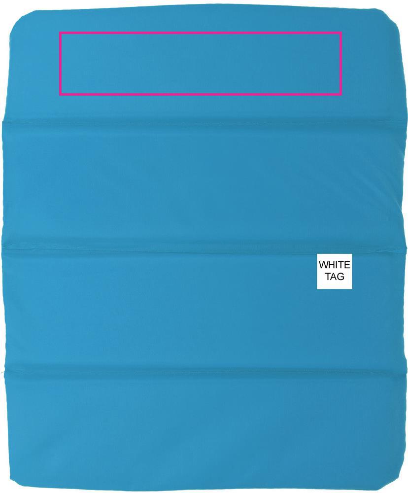 BACK SEGMENT