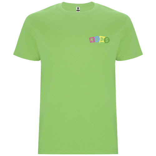 Stafford koszulka dziecięca z krótkim rękawem Oasis Green K66815RC (1)