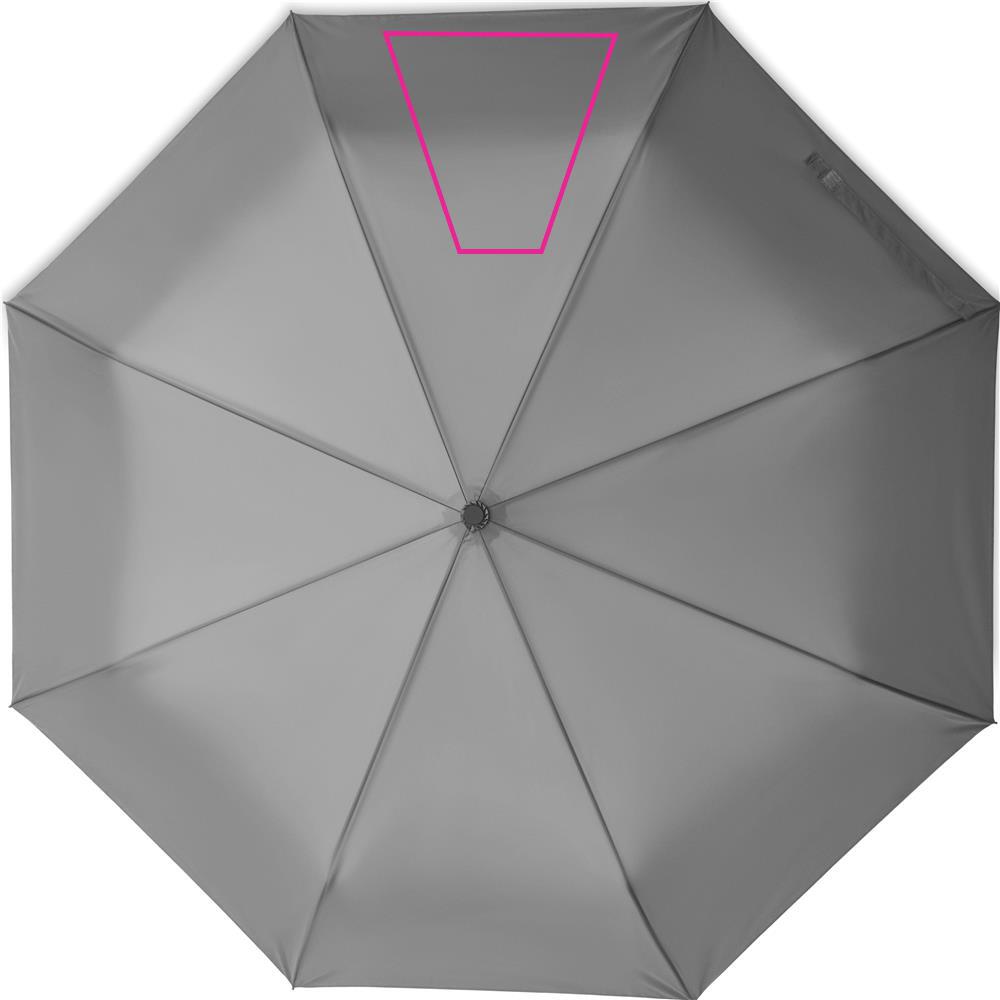 SEGMENT 3