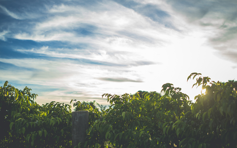 Dbasz o CSR? Postaw na ekologiczne gadżety reklamowe!