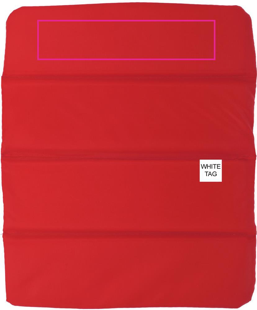 BACK SEGMENT