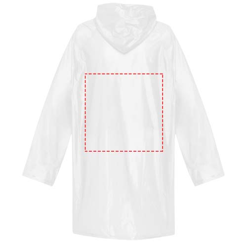 na górze z tyłu (300 x 300)